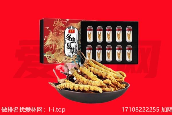 汕尾海丰县回收虫草.jpg